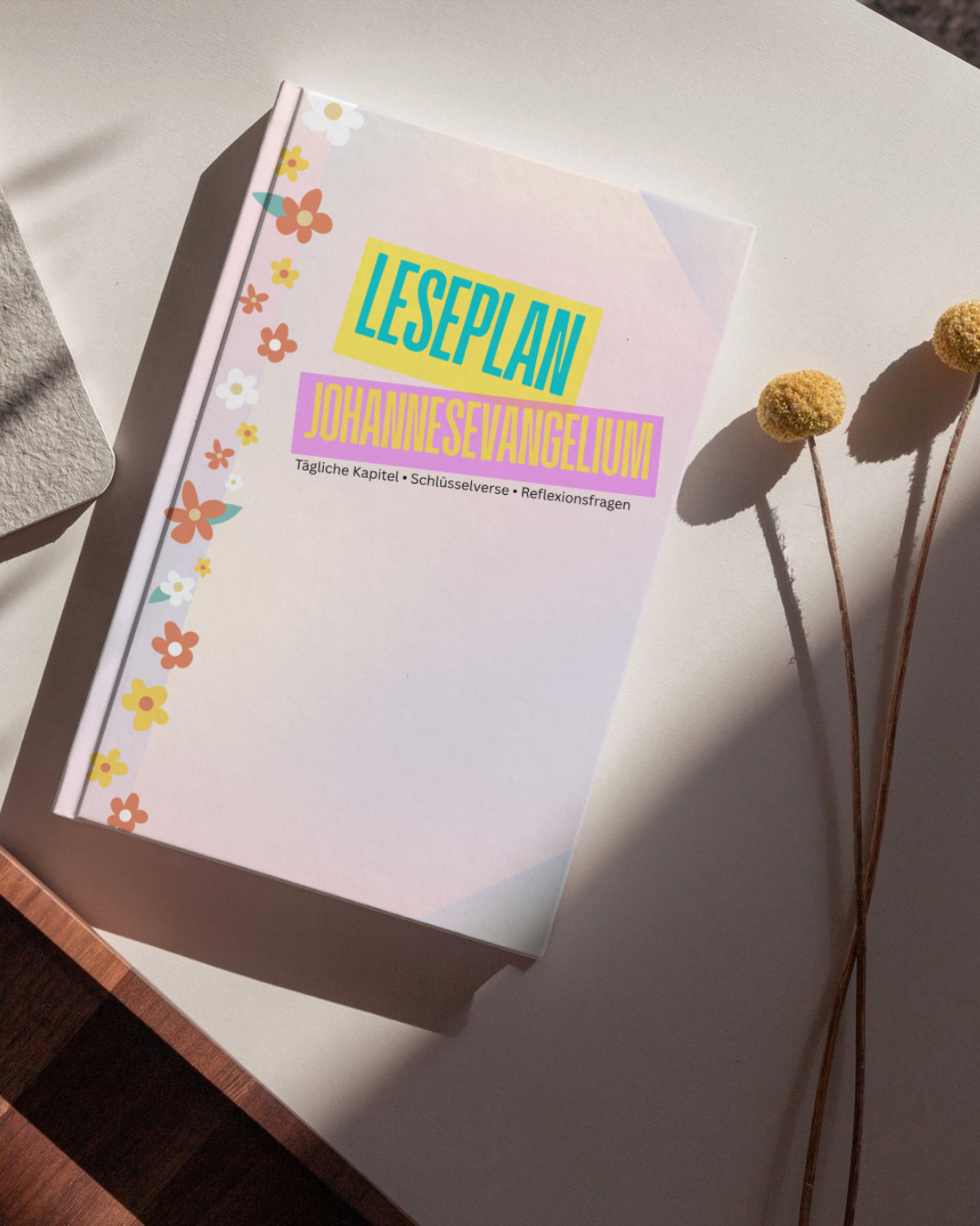 Johannes Leseplan | 21 Tage im Johannesevangelium